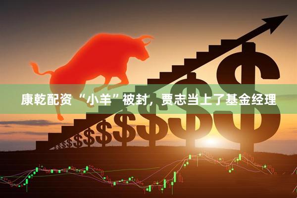 康乾配资 “小羊”被封，贾志当上了基金经理