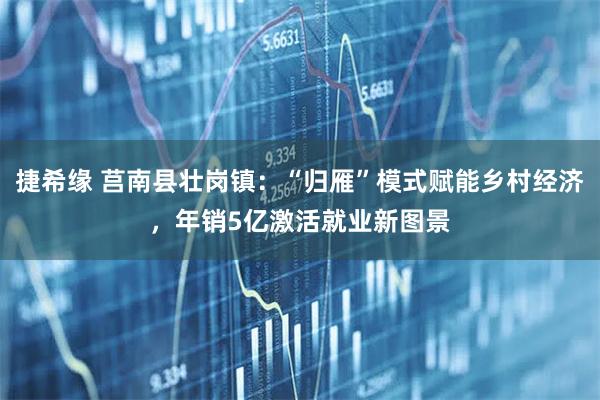 捷希缘 莒南县壮岗镇：“归雁”模式赋能乡村经济，年销5亿激活就业新图景