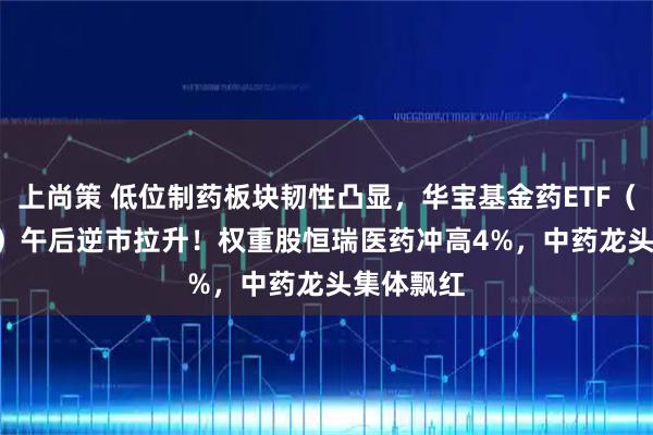 上尚策 低位制药板块韧性凸显，华宝基金药ETF（562050）午后逆市拉升！权重股恒瑞医药冲高4%，中药龙头集体飘红
