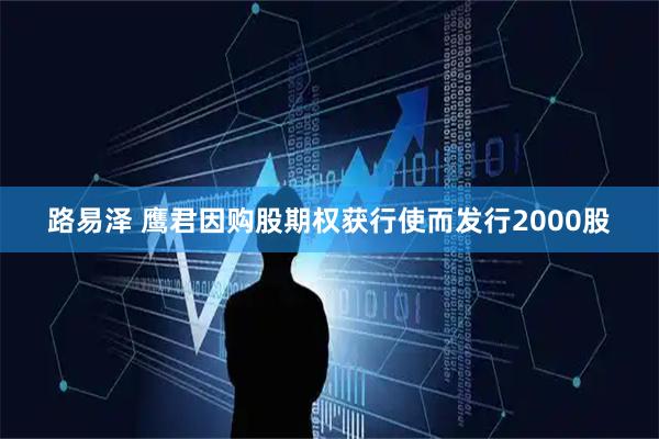 路易泽 鹰君因购股期权获行使而发行2000股